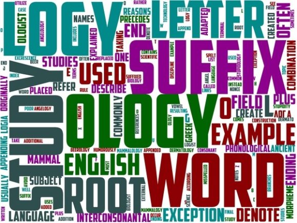 Explore the Versatility of Nassology Wordart Sticker for Creative Projects