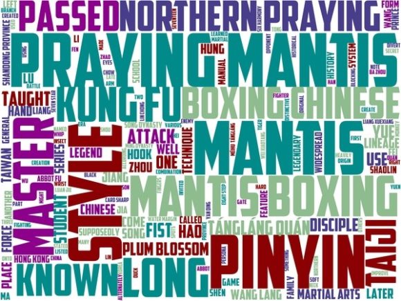 Northern Praying Mantis Wordart Tumbler