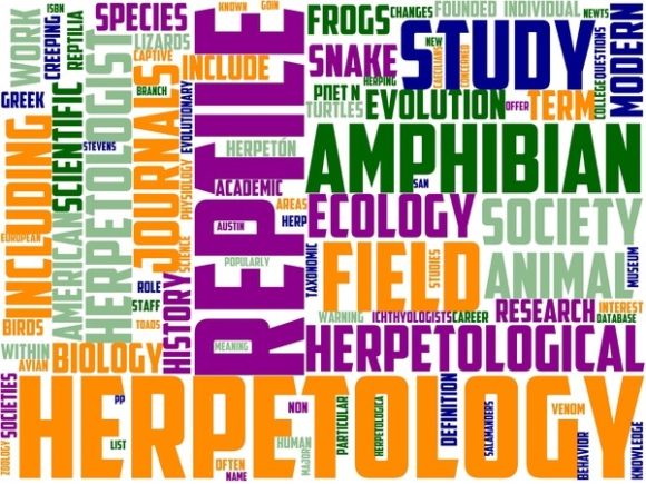 Ophiology Wordart Tumbler.jpg: A Versatile Design for Creative Expression
