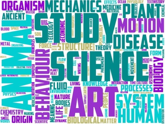 Optology Wordart Sticker.jpg: A Strategic Tool for Creative Expression and Branding