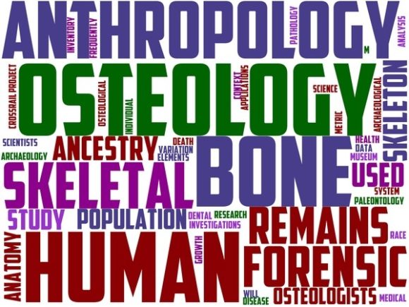 Osteology Wordart Tshirt: Creative Expression