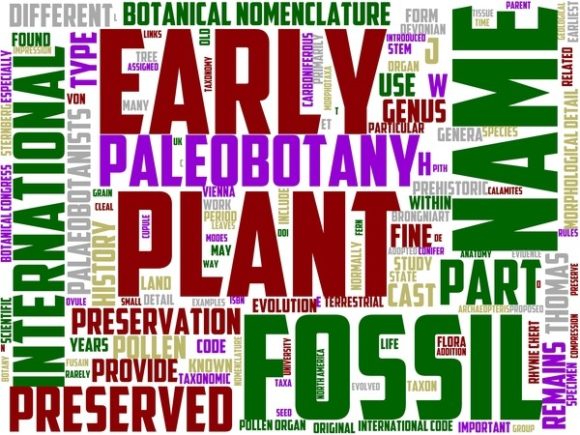 Palaeobotanist Wordart Tumbler: A Unique Blend of Science and Art