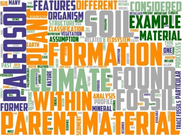 Palaeopedology Wordart Tumbler