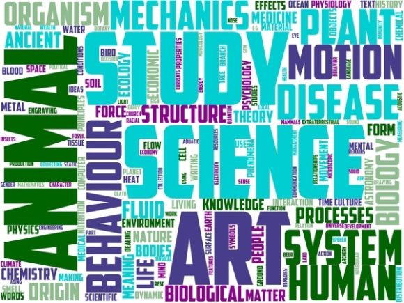 Paleo Osteology Wordart Tshirt: A Unique Blend of Science and Art