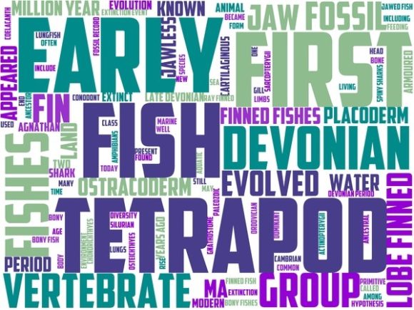 Paleoichthyology Wordart Wallpaper: A Unique Tool for Creative Workflows