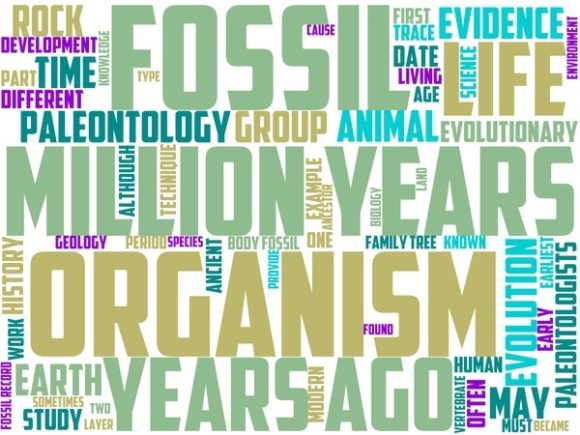 Paleontology Wordart Book Cover: A Creative Tool for Modern Designers