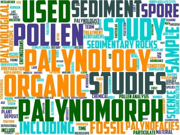 Palynology Wordart Tshirt: A Unique Expression of Science and Art