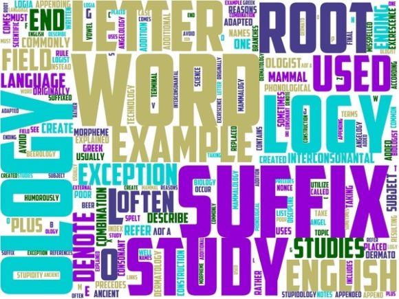 Pantheology Wordart Skinny Tumbler: A Creative Tool for Everyday Inspiration
