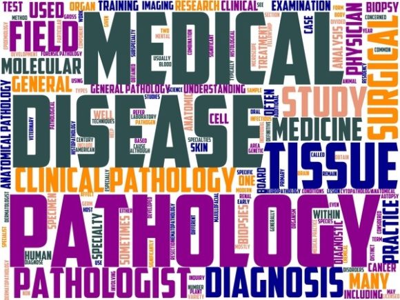 Pathology Wordart Background